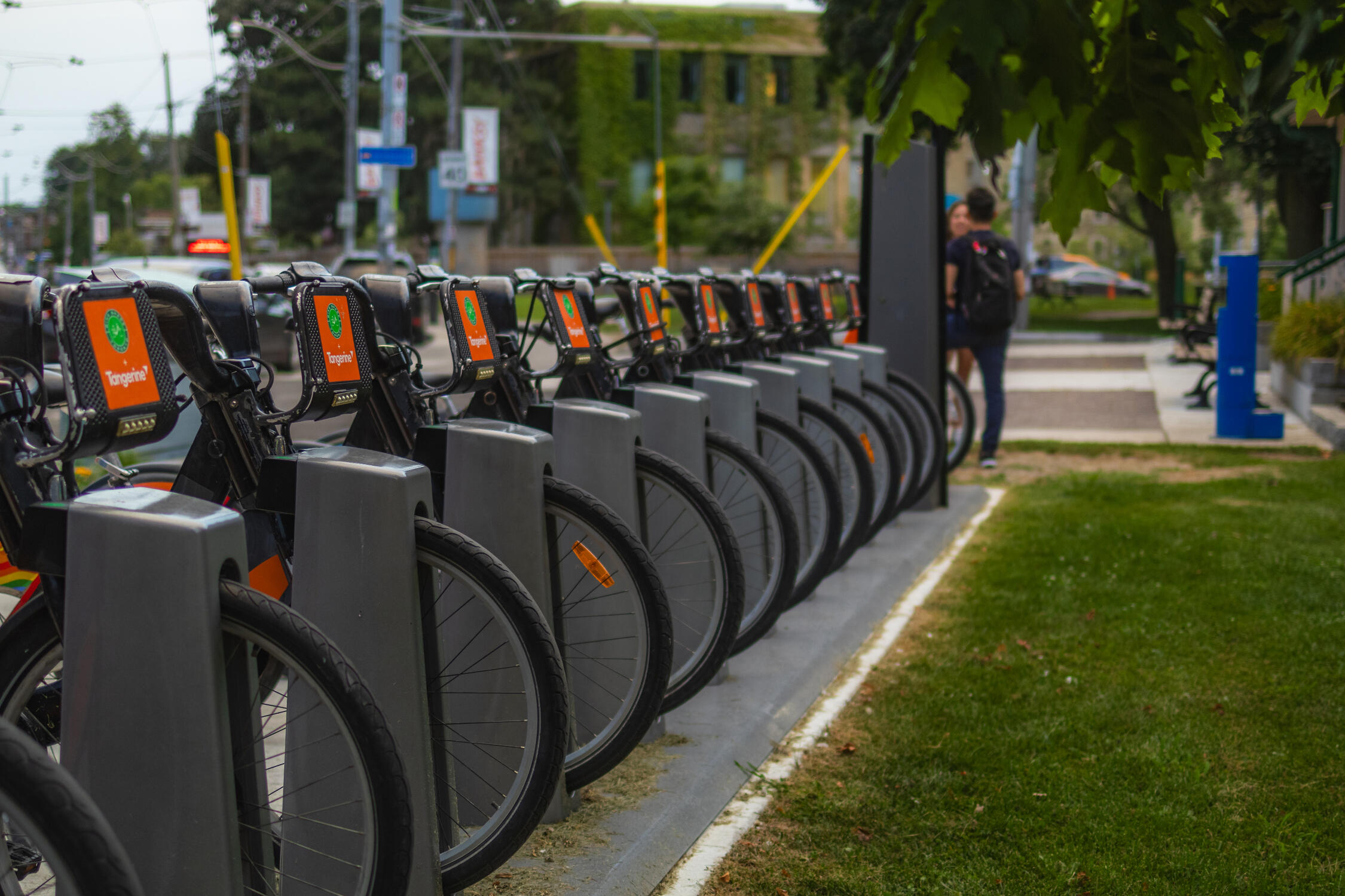 2431.AS.BTS.20240801